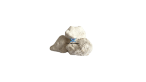 a-pihp