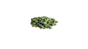 4-ho-mipt