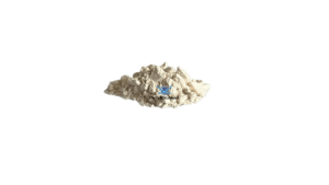 ept