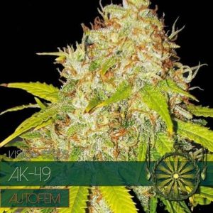 AK-49 Auto 4 Wietzaadjes