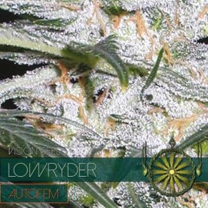 Lowryder Auto 4 Wietzaadjes