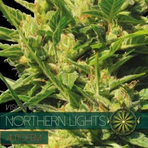 Northern Lights Auto 4 Wietzaadjes