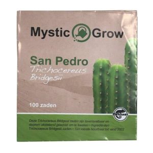 San Pedro T bridgesii zaden