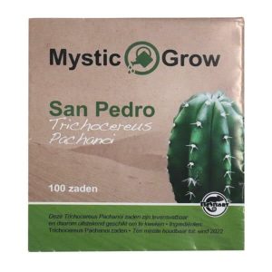 San Pedro T Pachanoi zaden