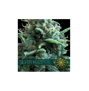 Vision Seeds Silver Haze 4 zaadjes